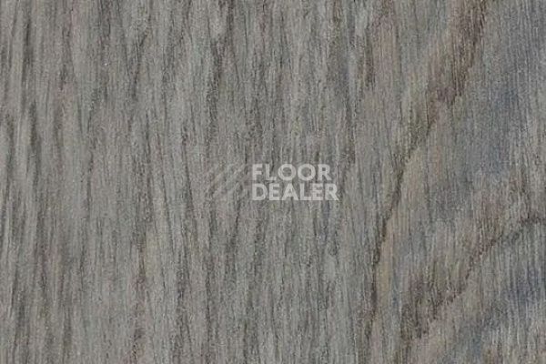 Виниловая плитка ПВХ FORBO Effekta Intense 40245 P Ashon Rustic Oak INT фото 1 | FLOORDEALER